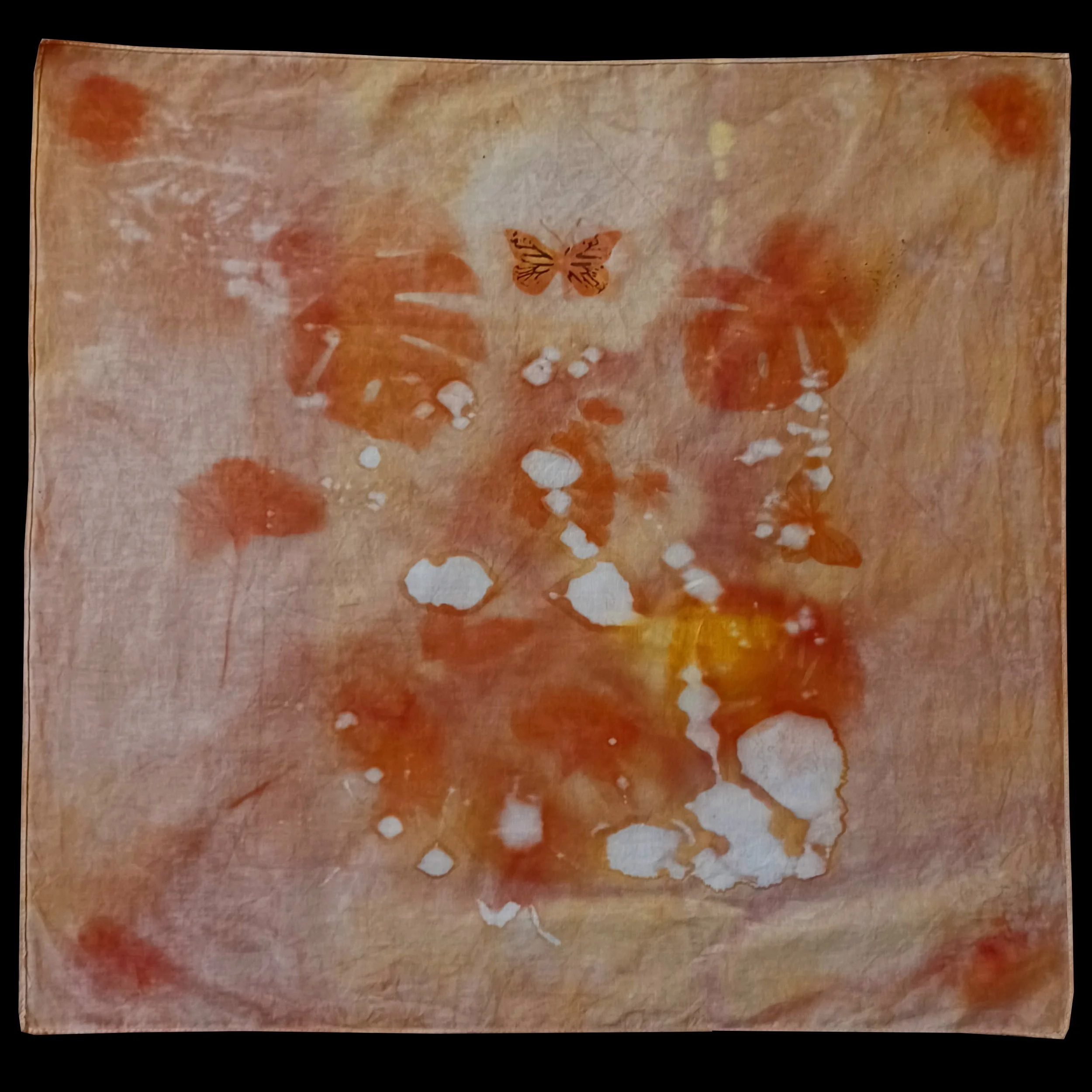 Mariposa, tu si eres libre