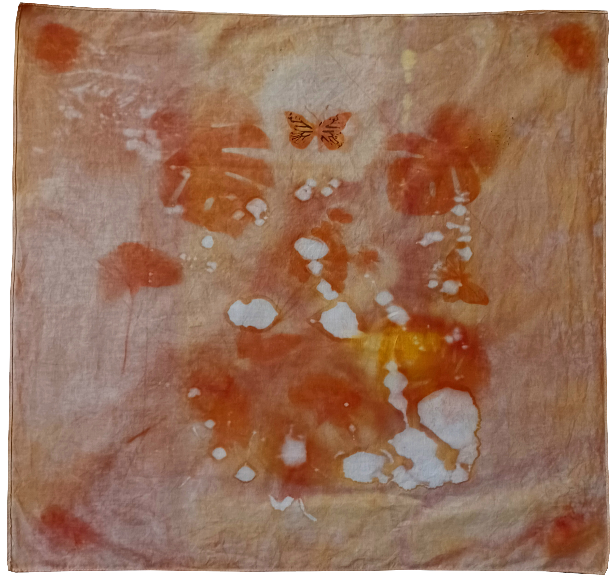 Mariposa, tú si eres libre (2025)