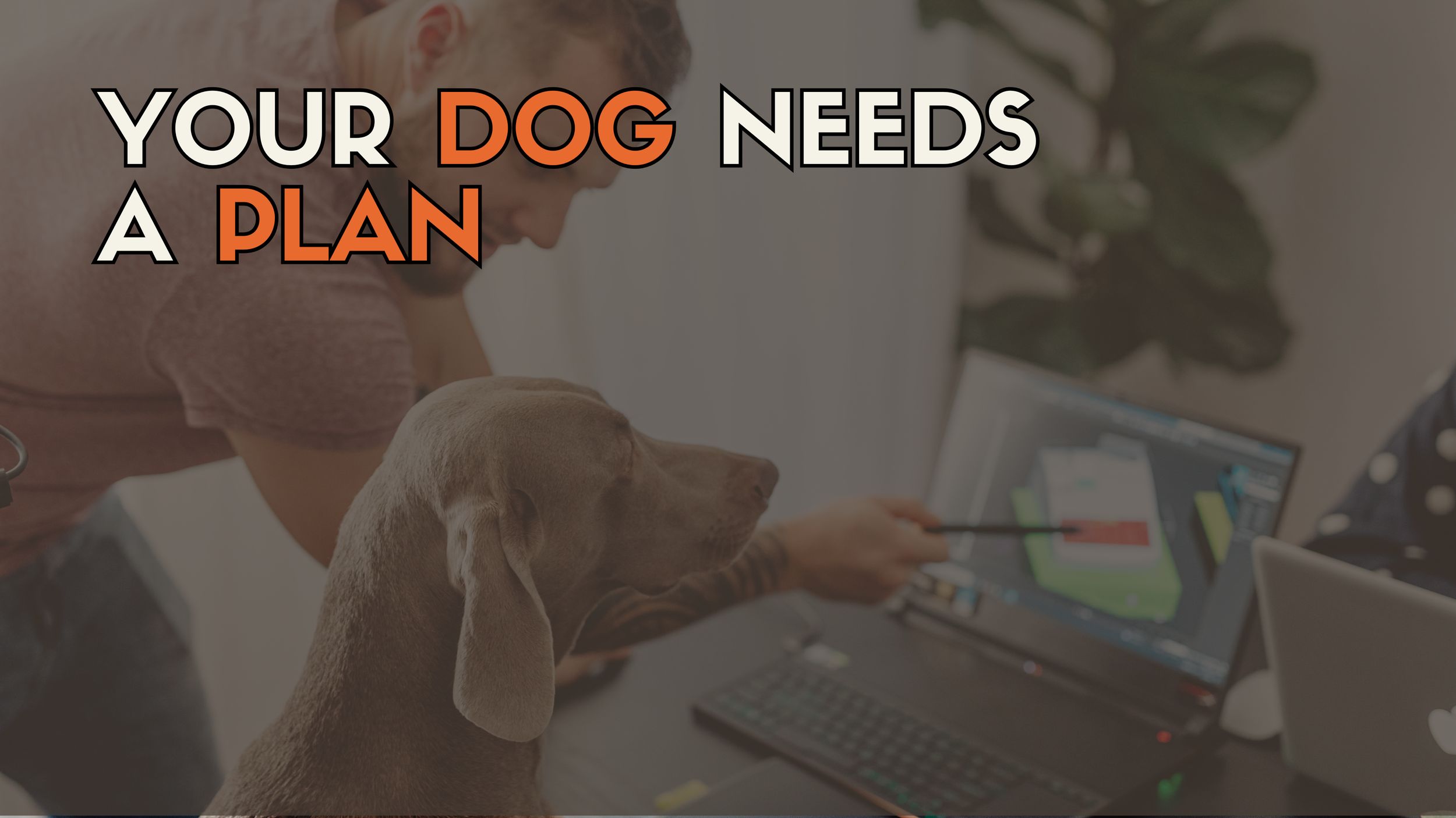 Your Dog Doesn't Need More Products. Your Dog Needs a Plan.