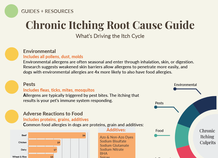 Infographic titled 'Chronic Itching Root Cause Guide' with sections on Environmental allergens, Pests, and Food reactions, including symptoms, triggers, and allergen examples.