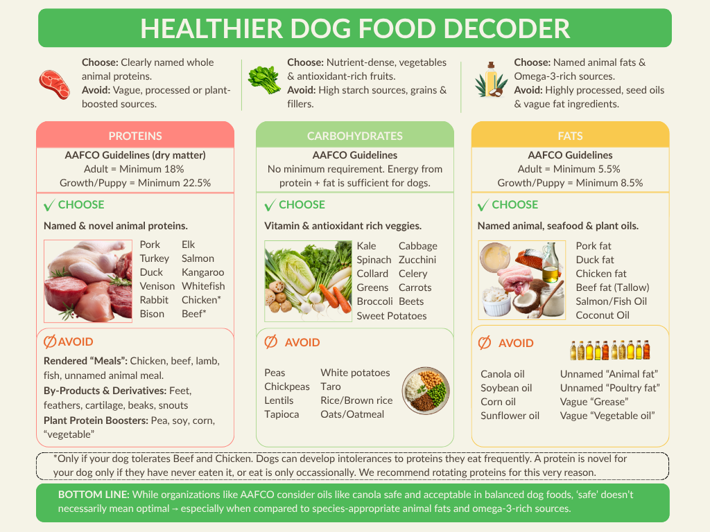 Chart titled 'Healthier Dog Food Decoder' with sections on Proteins, Carbohydrates, and Fats. It provides guidelines on choosing healthy ingredients like whole animal proteins, nutrient-dense vegetables, and named fats, while avoiding processed sources, high starch, and unnamed oils.