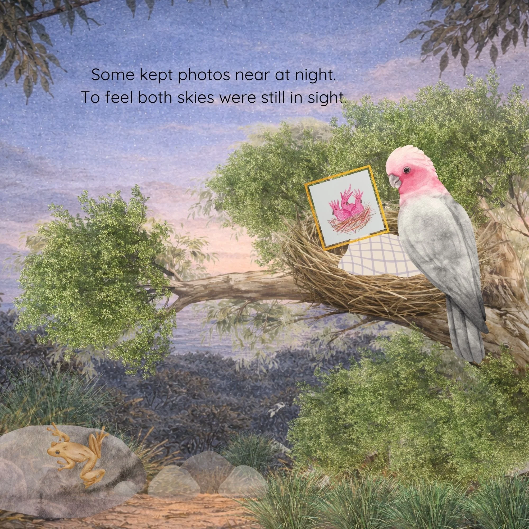 Mmara and the Two Skies print ed  (10).jpg