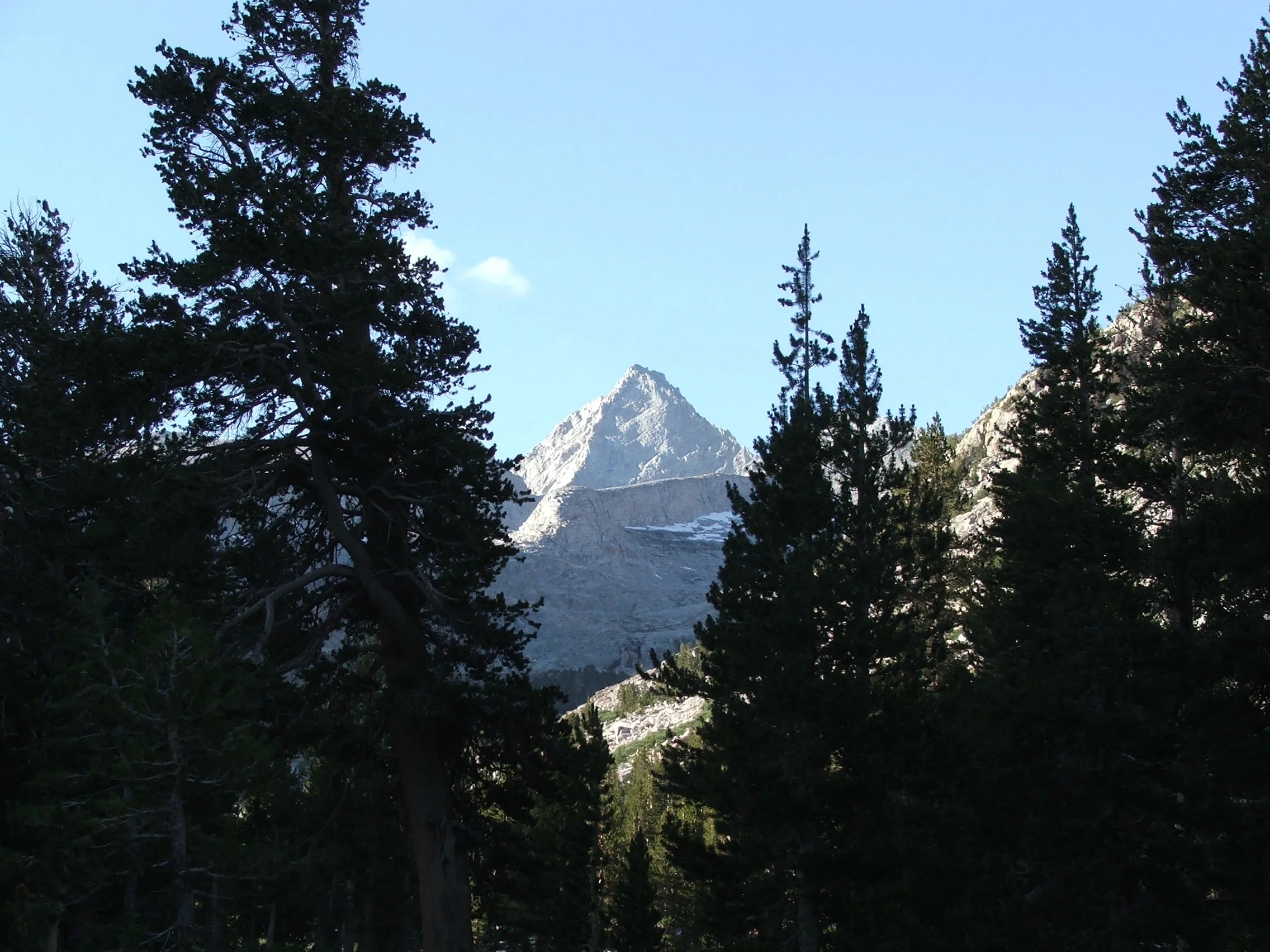 Fractional Executive