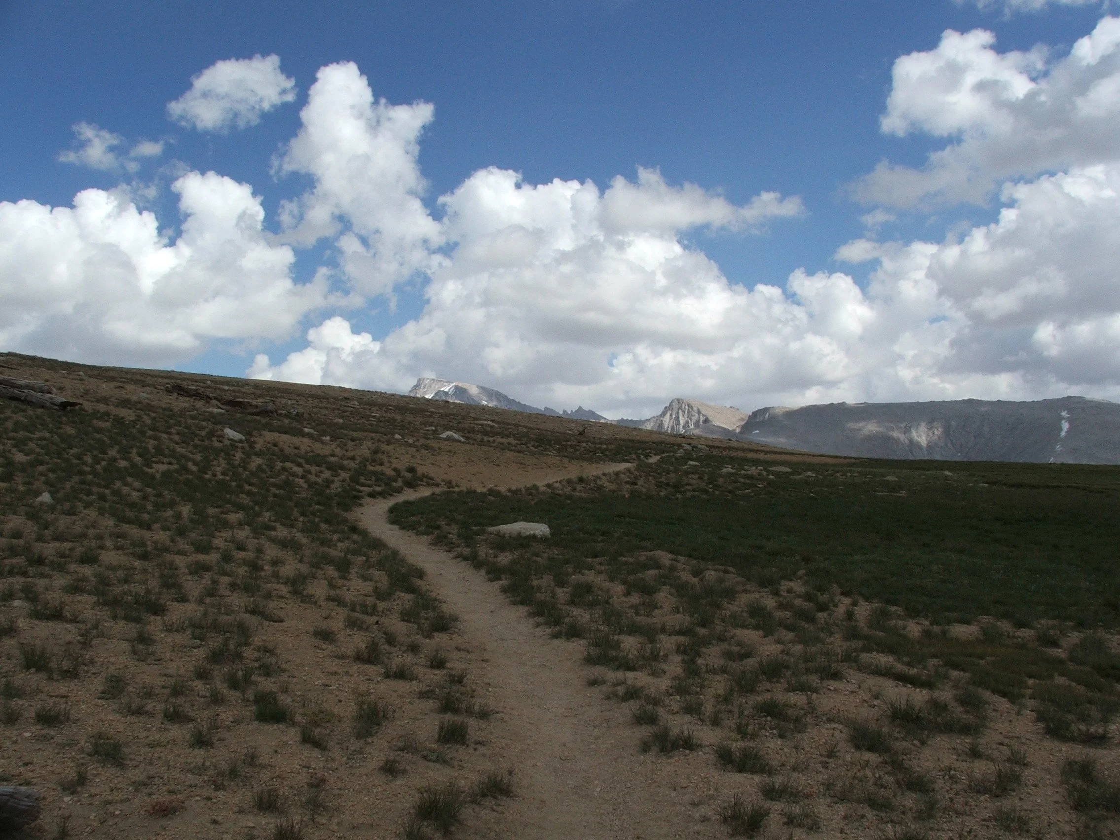 Non-Profit Consulting Services