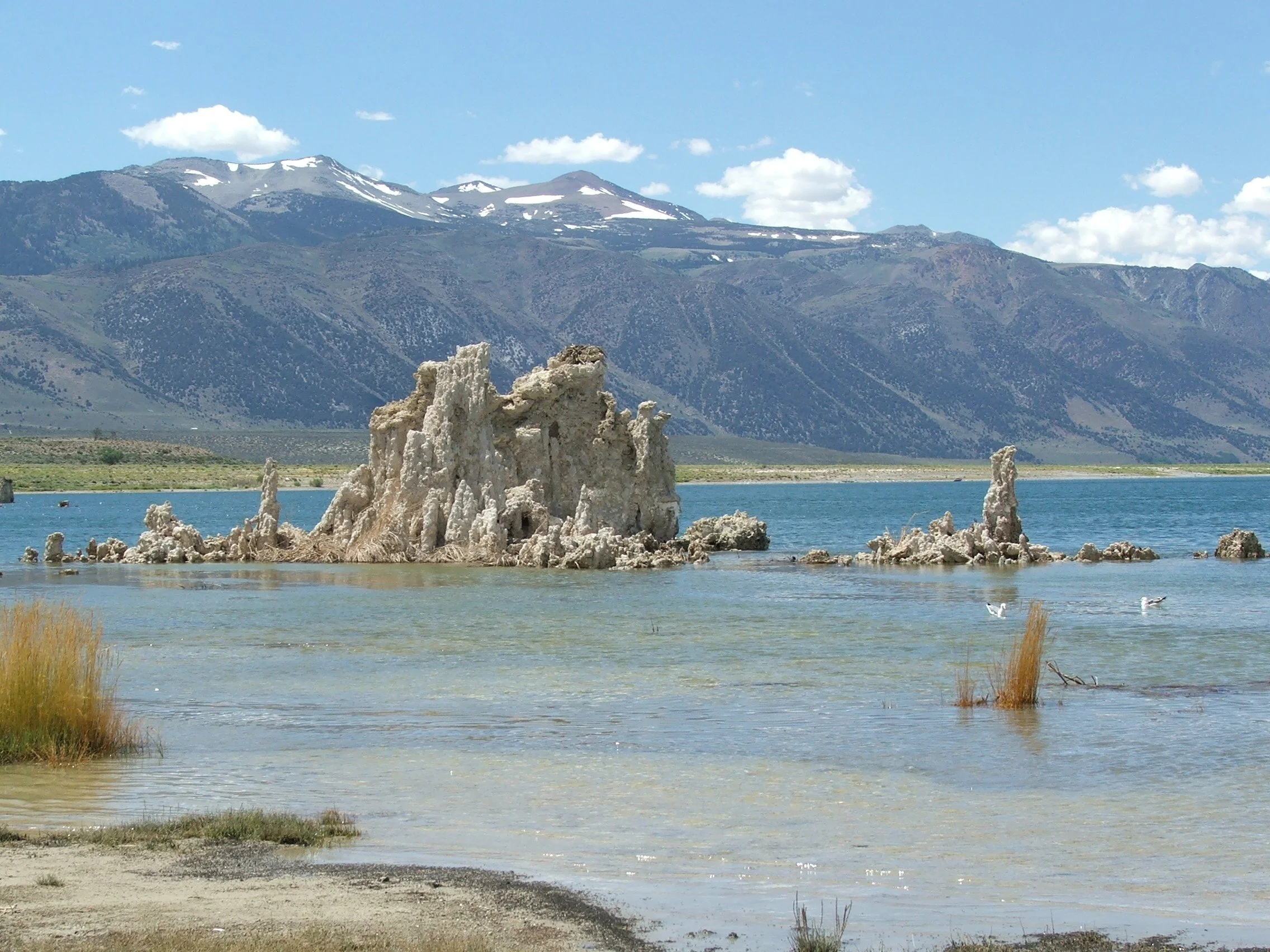 Educations, Training, & Coaching