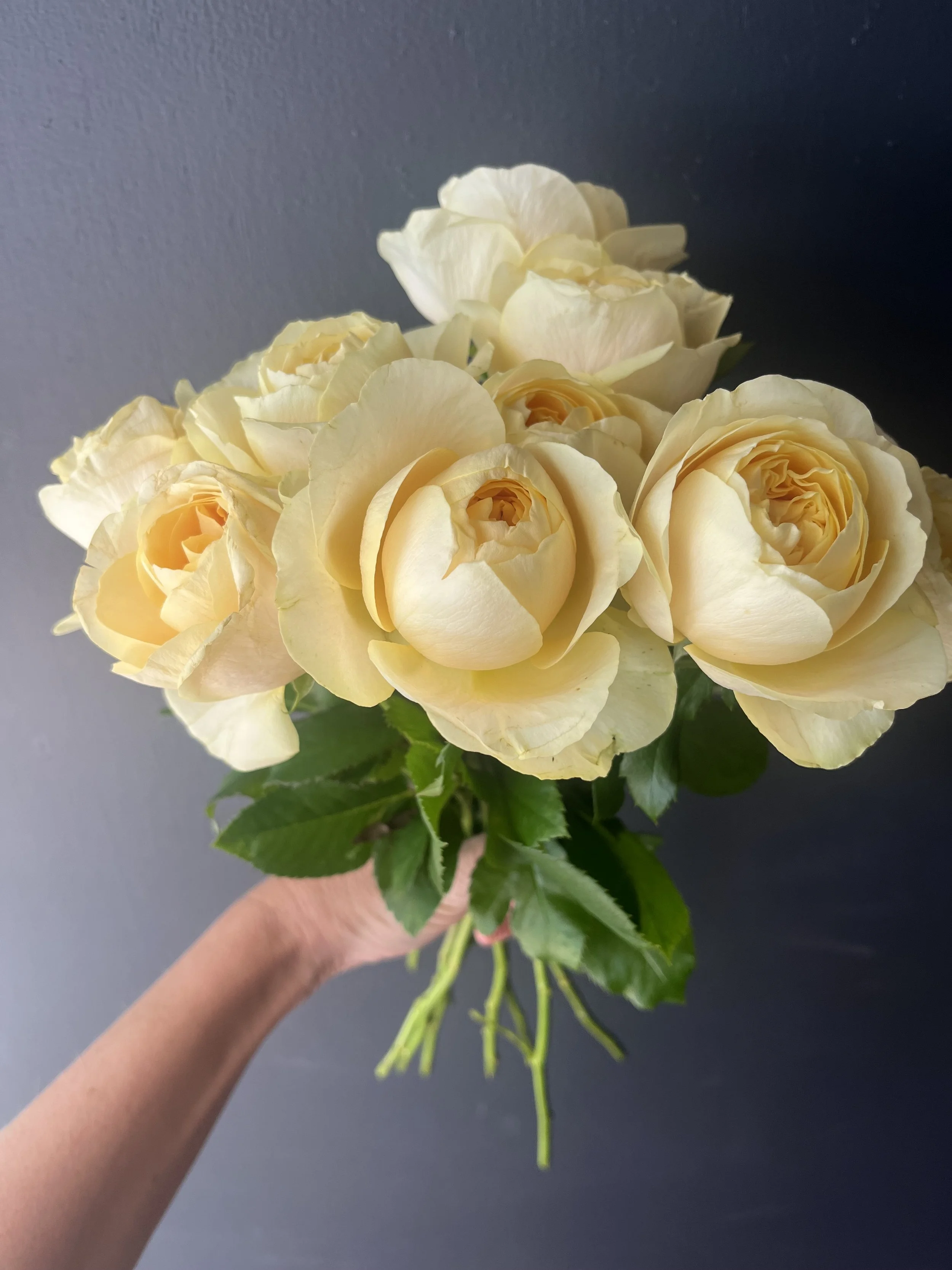 Australian grown GARDEN ROSES Bouquet