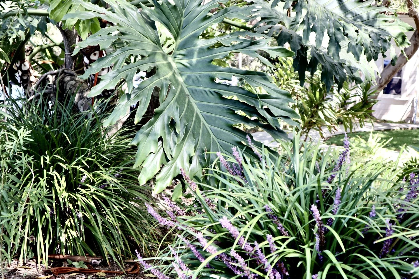IMG_0481.JPG