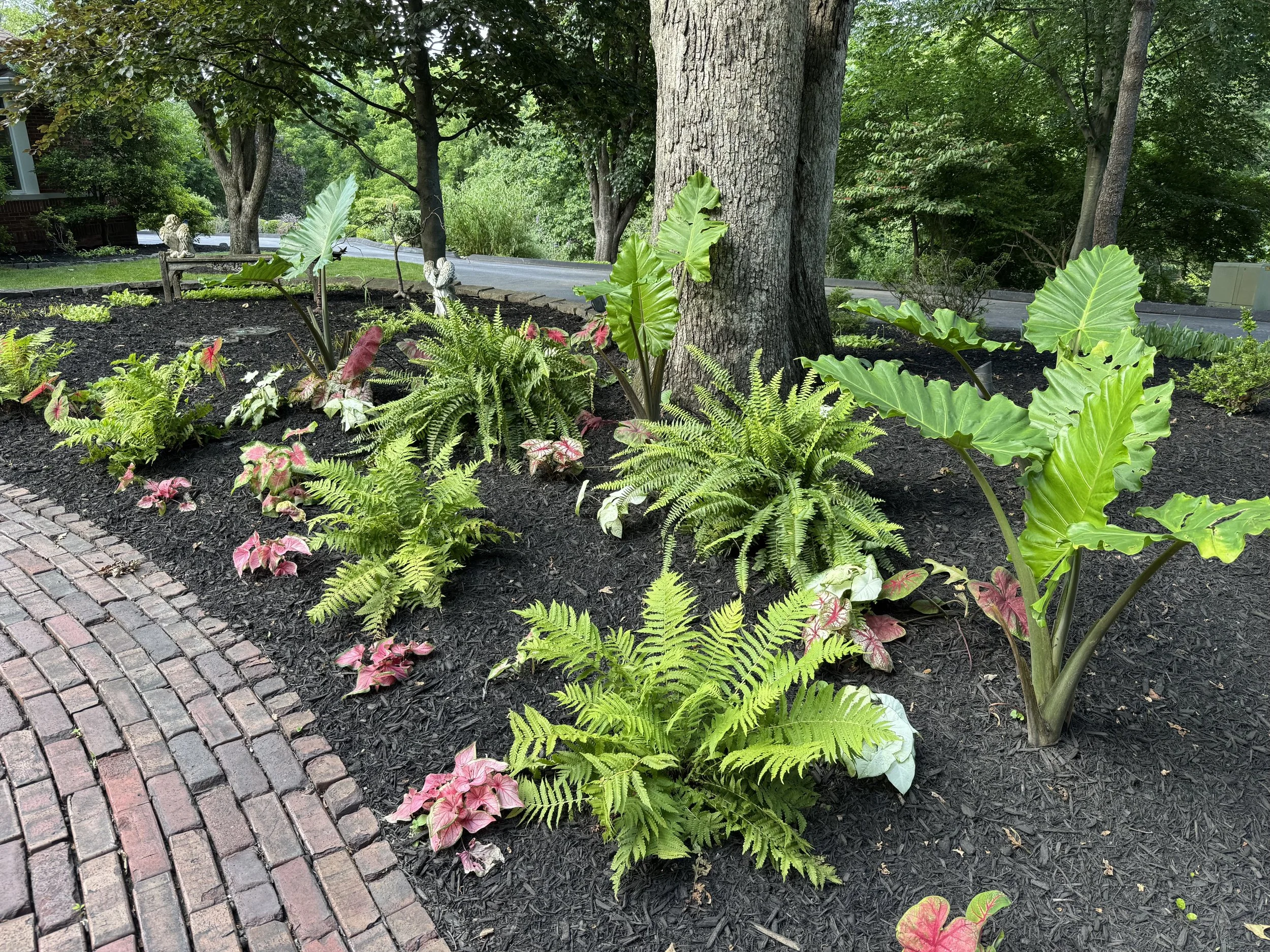 Chesterfield Entryway Garden