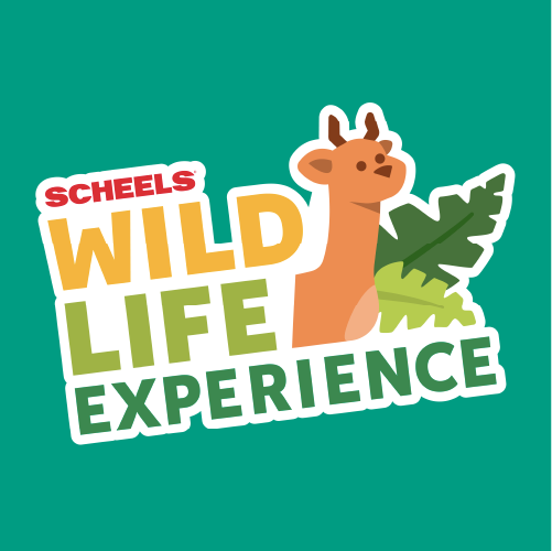 Wild Life Experience Logo