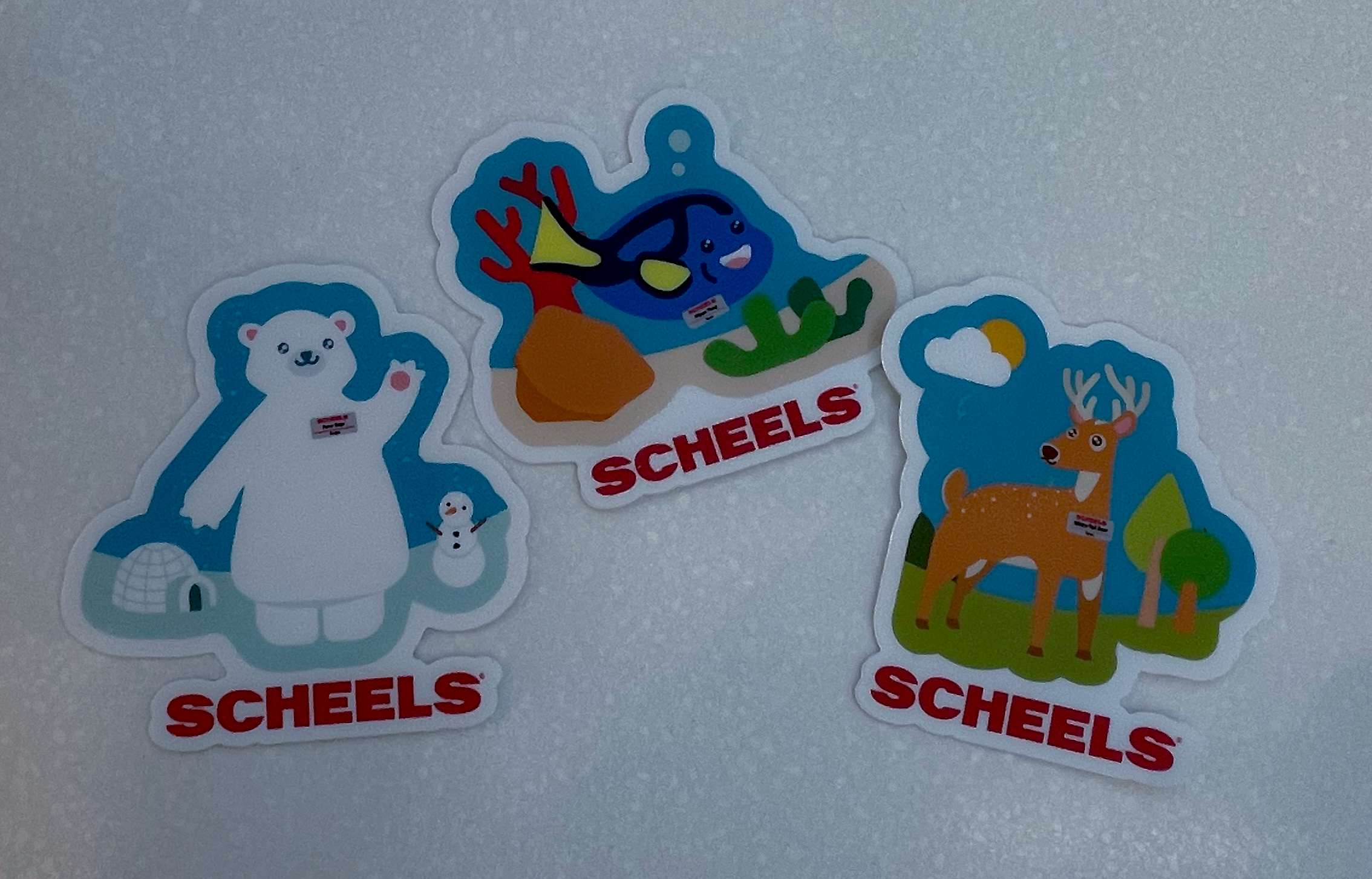 scheels-stickers