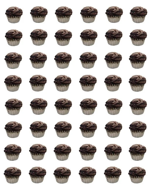 Double Chocolate Chip - 48 mini muffins