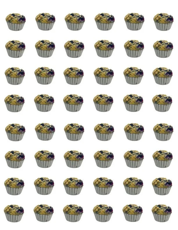 Blueberry - 48 mini muffins