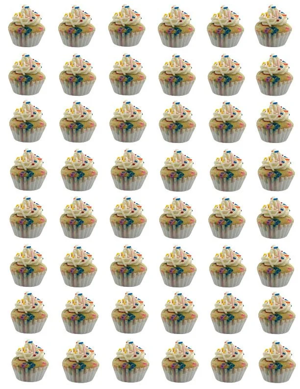 Funfetti with vanilla frosting - 48 mini cupcakes