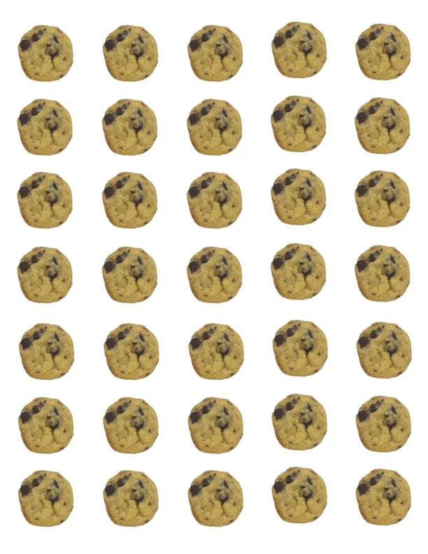 Chocolate Chip - Medium box