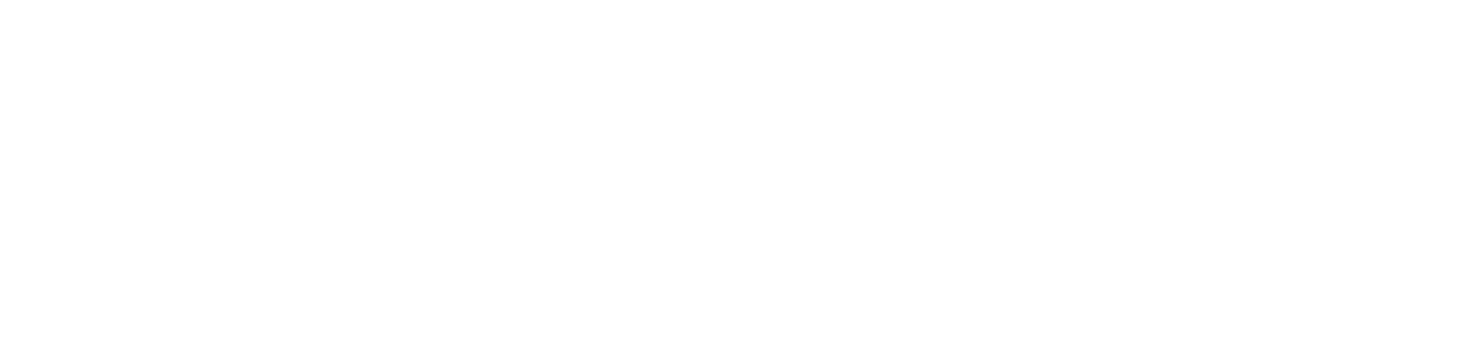 Disaster Voices Institute