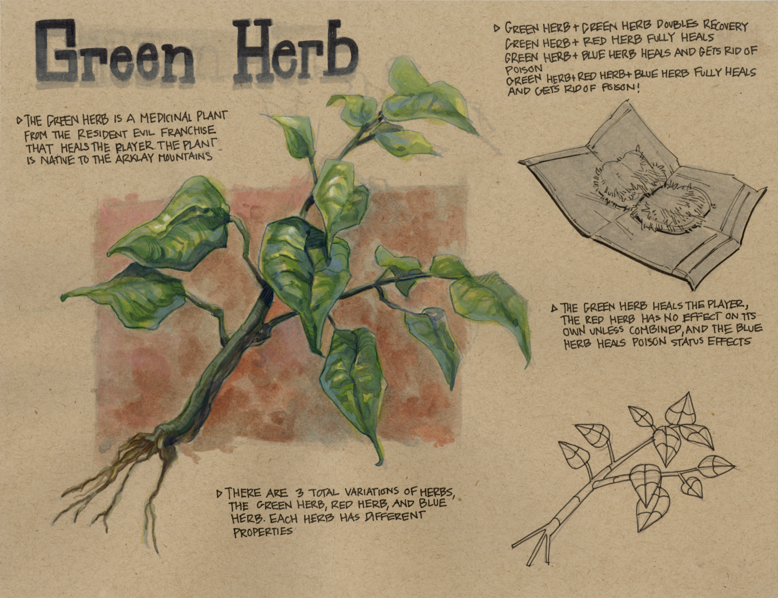 Resident Evil Green Herb Study, 2024