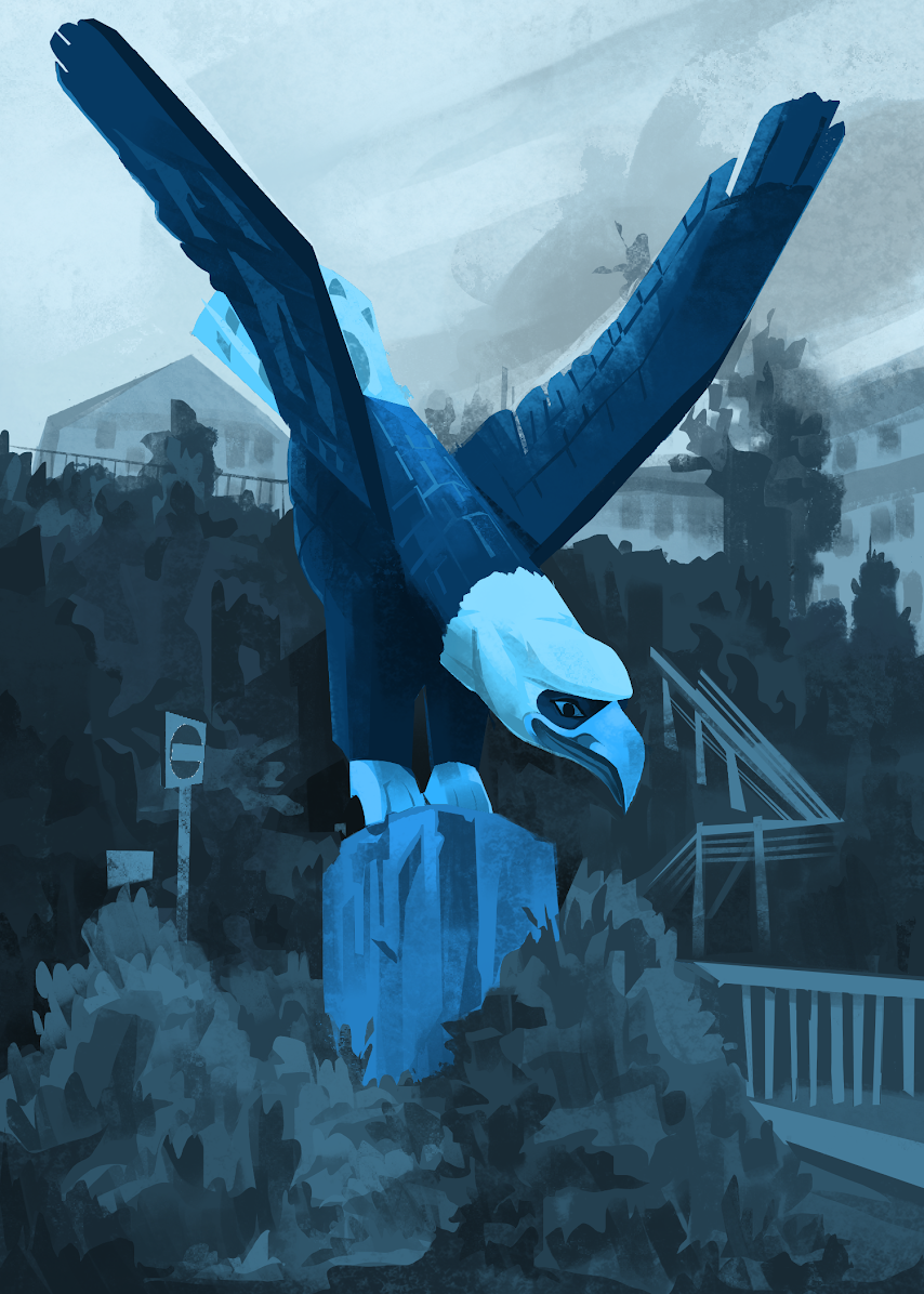 Alaska Eagle Study, 2024