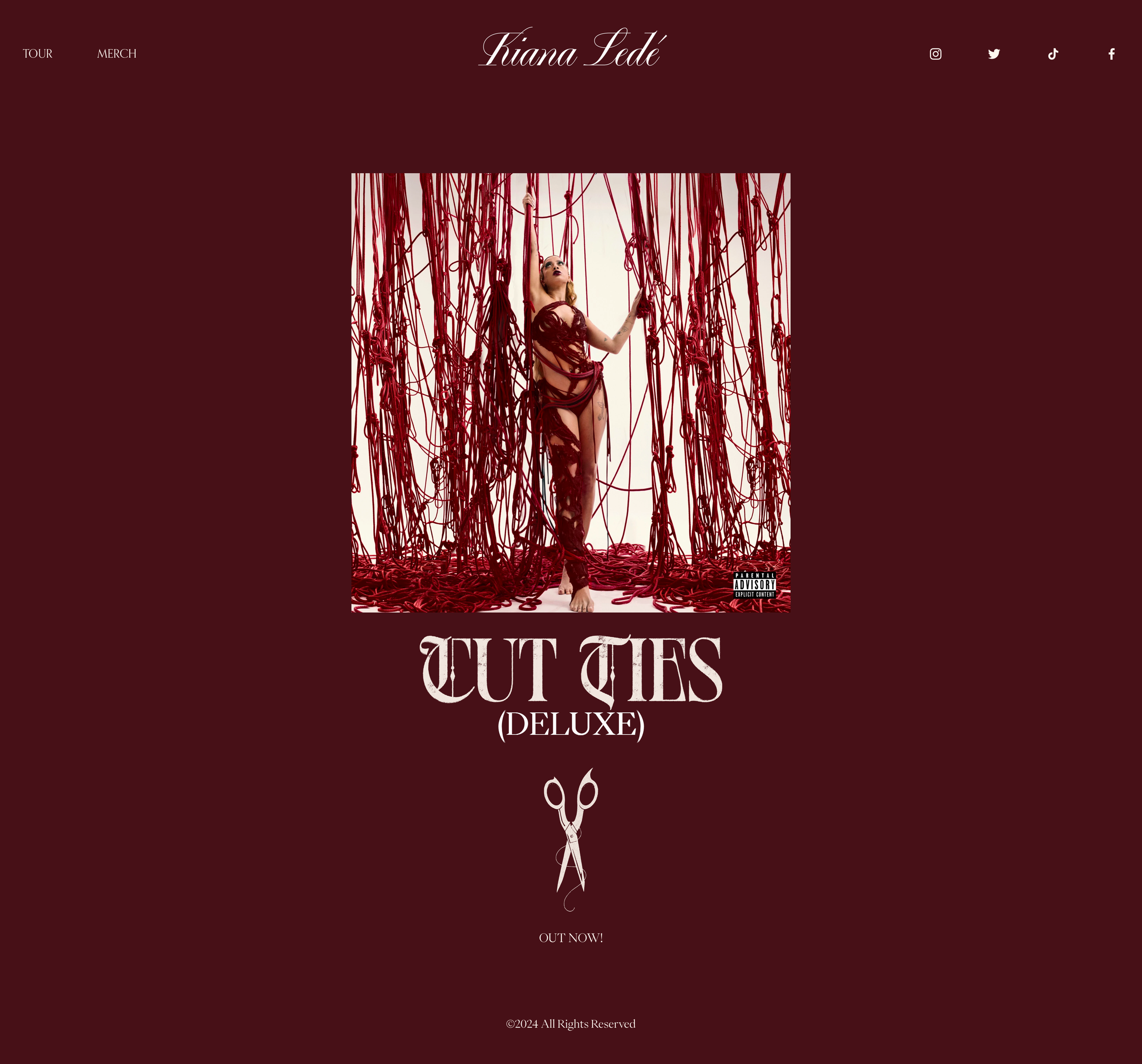 Design Featured on Website Homepage, 2024