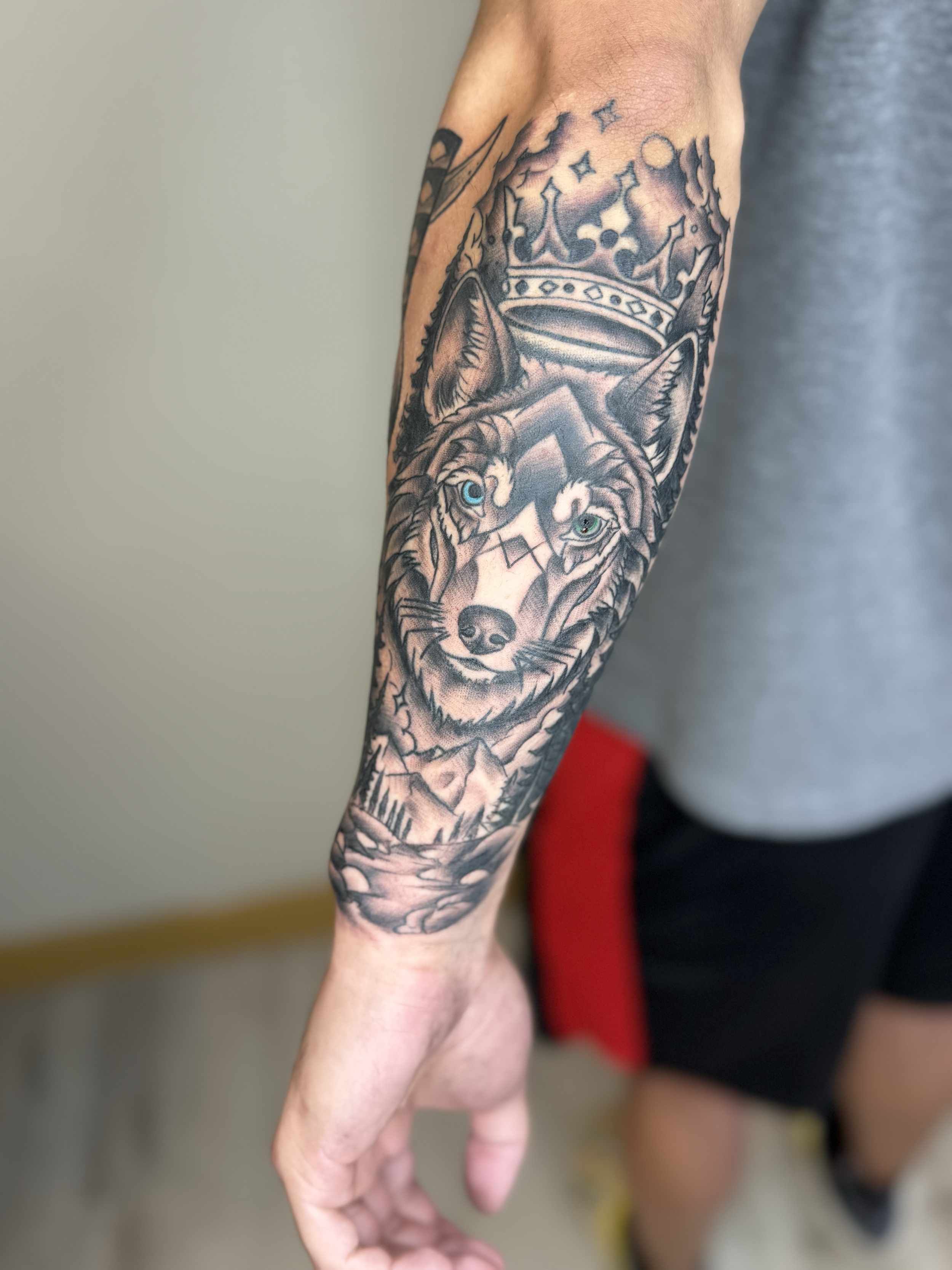 Black and gray wolf tattoo on forearm, Lago Vista TX