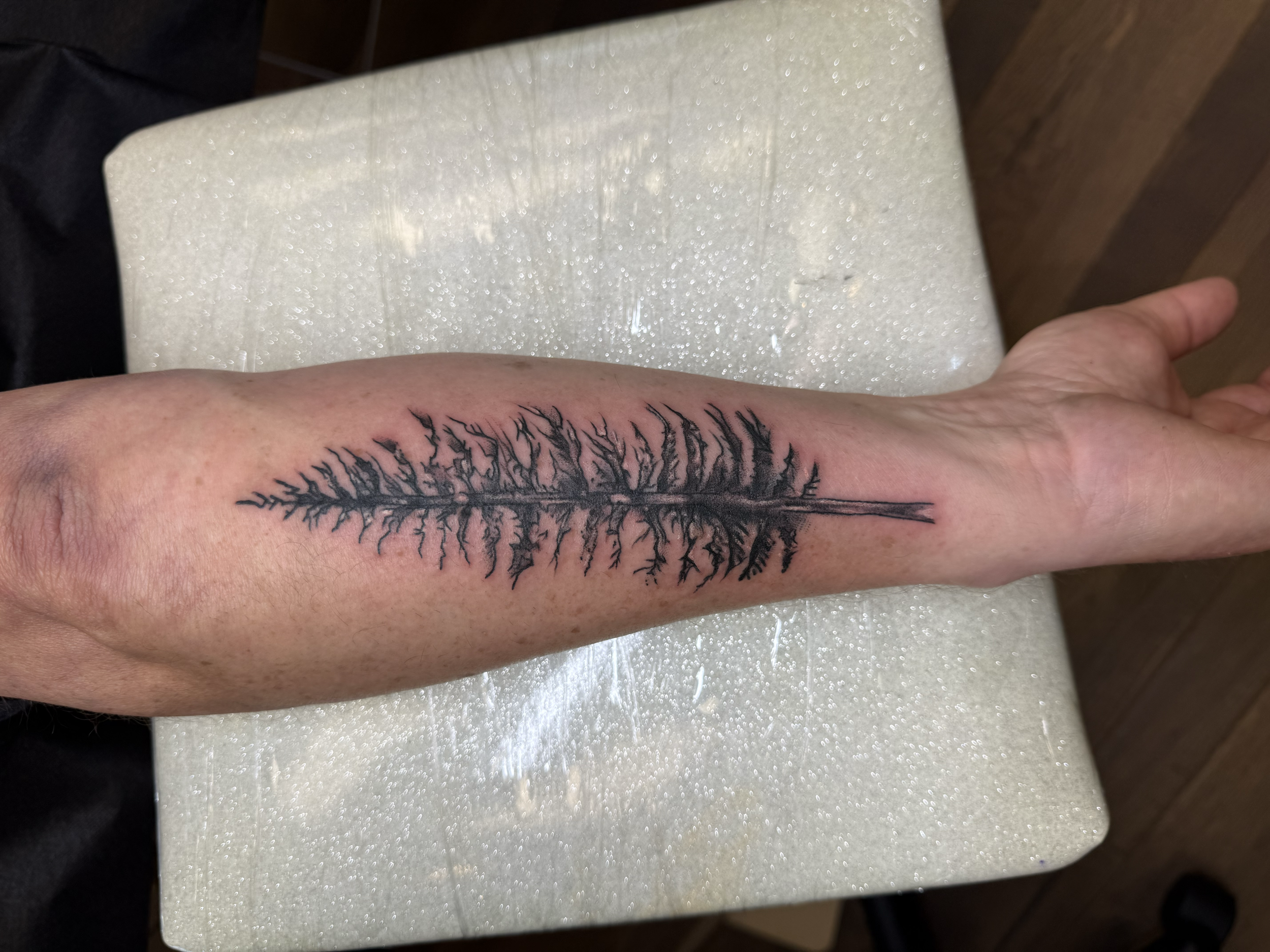 Black pine tree tattoo on forearm, Lago Vista TX