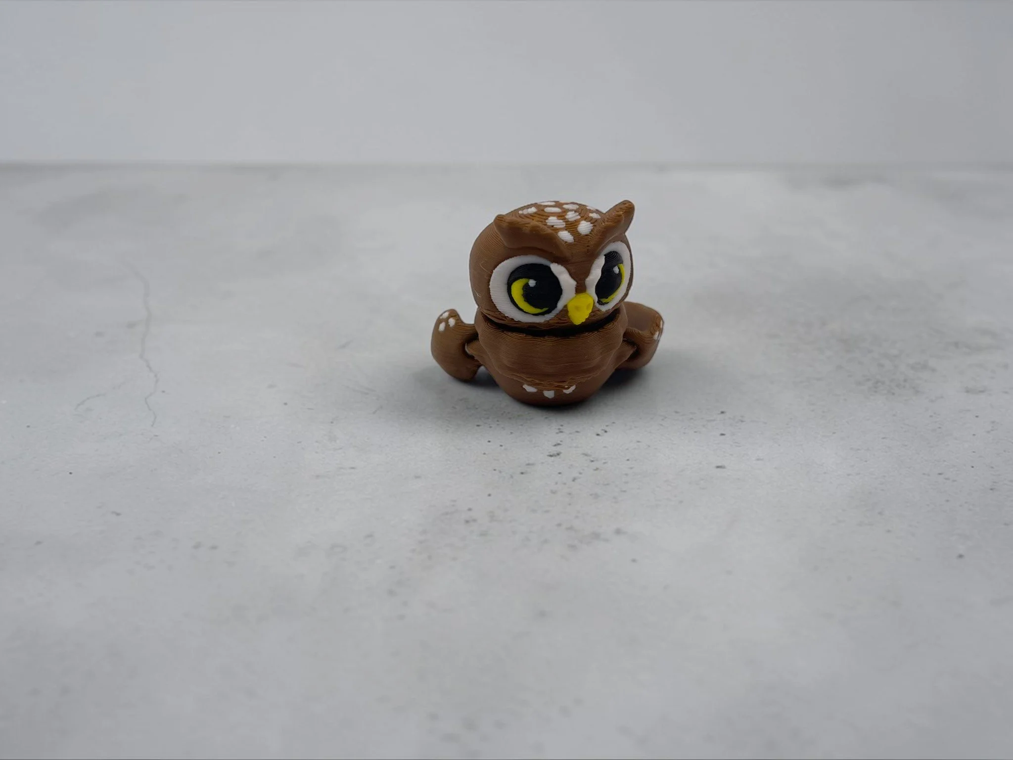 owl-Photoroom.jpg