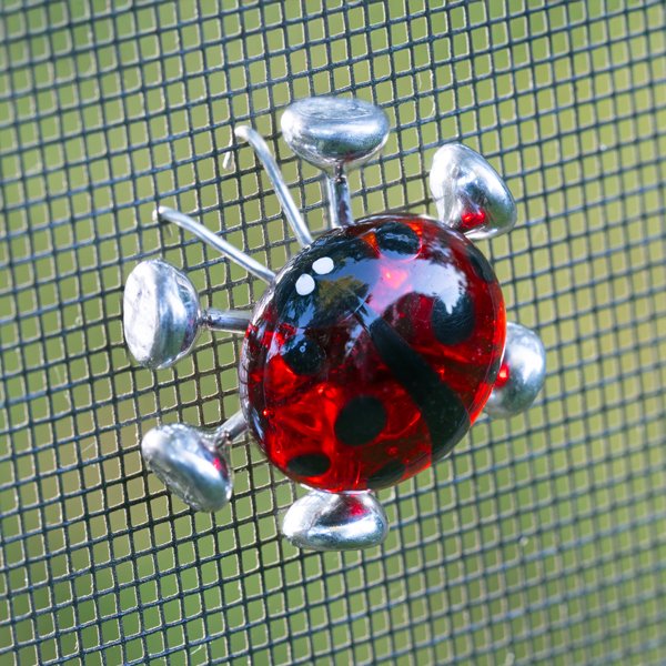 MINI LADYBUG