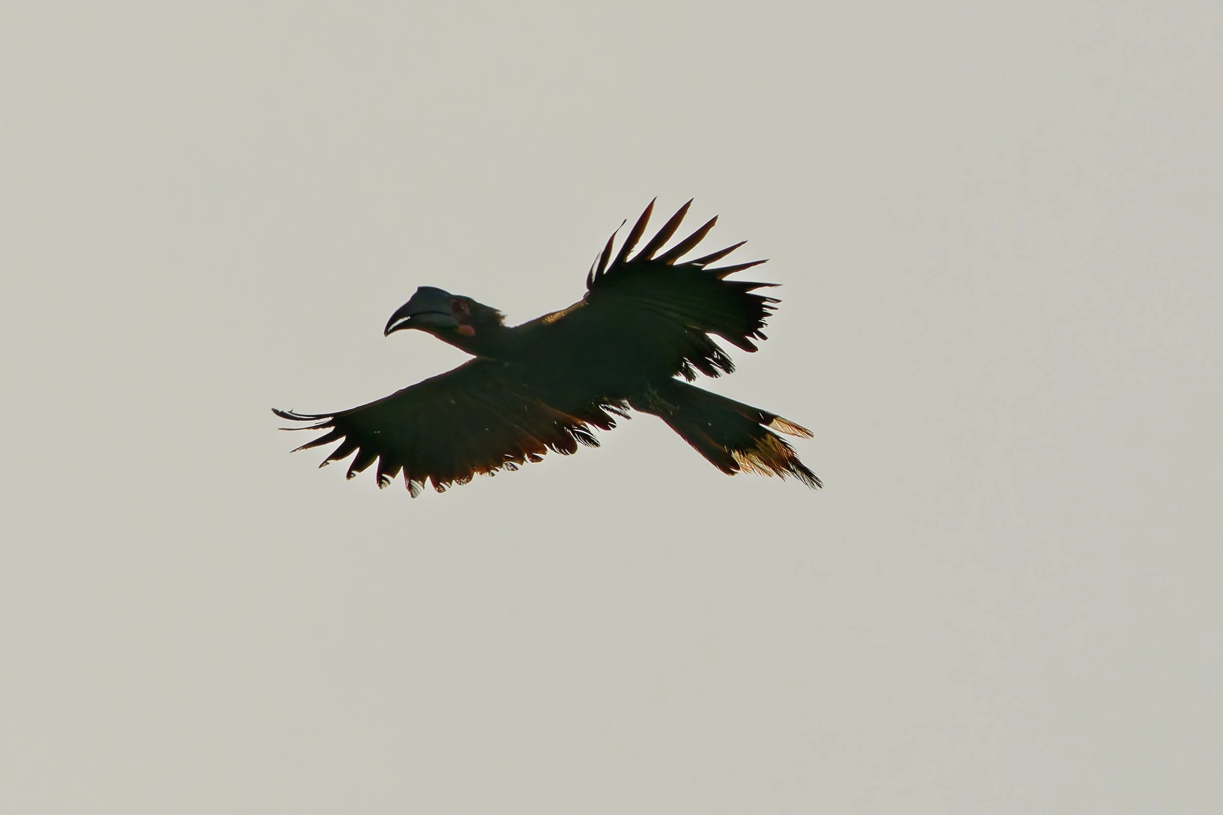 DSD02897_DxO.jpg