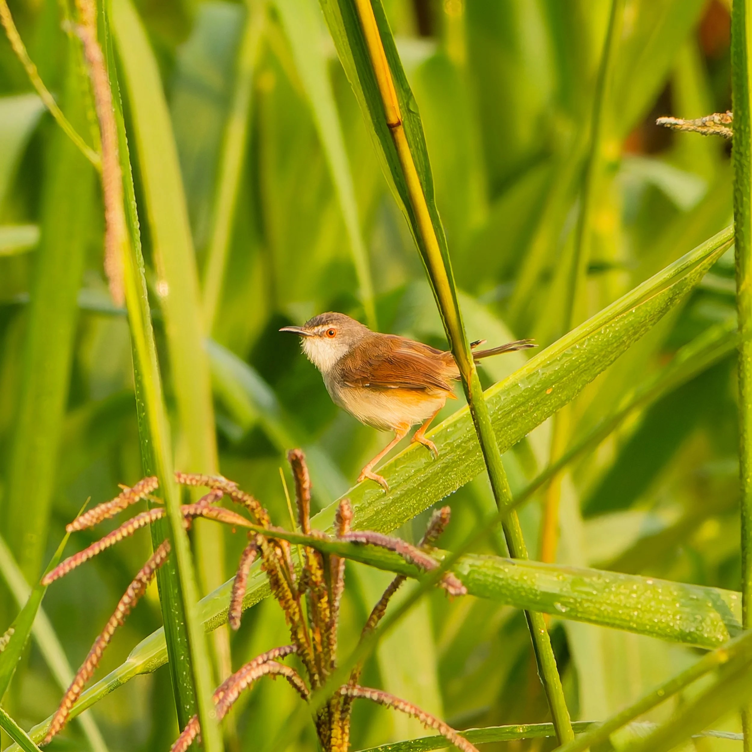 DSD02870_DxO.jpg
