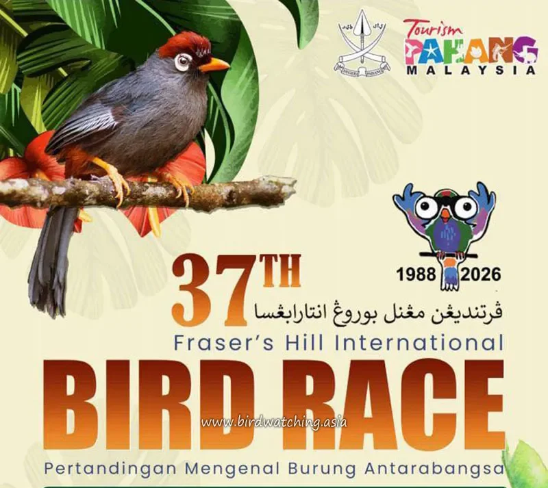 Fraser's Hill International Bird Race 2026