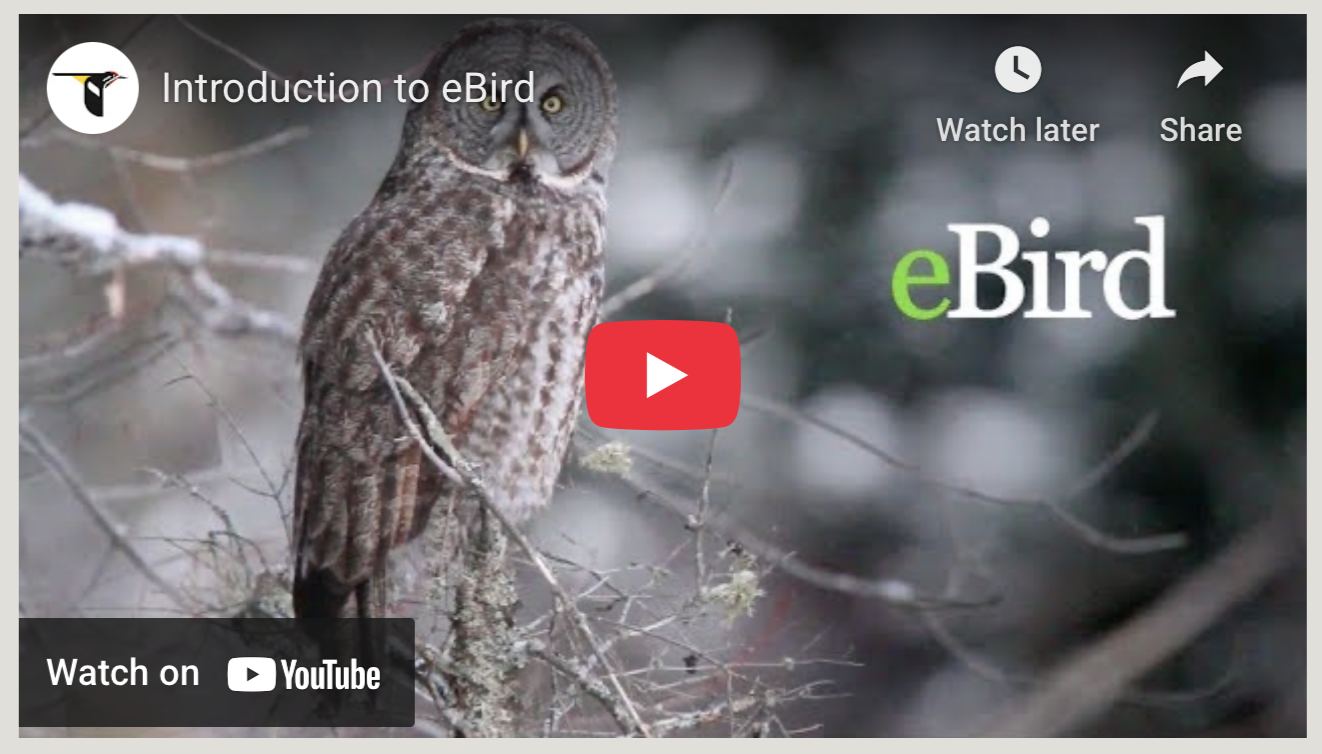 eBird Malaysia Selected Checklists from Jan to April 2018