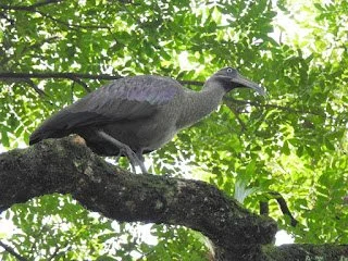 Pic9.jpg