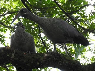 Pic10.JPG