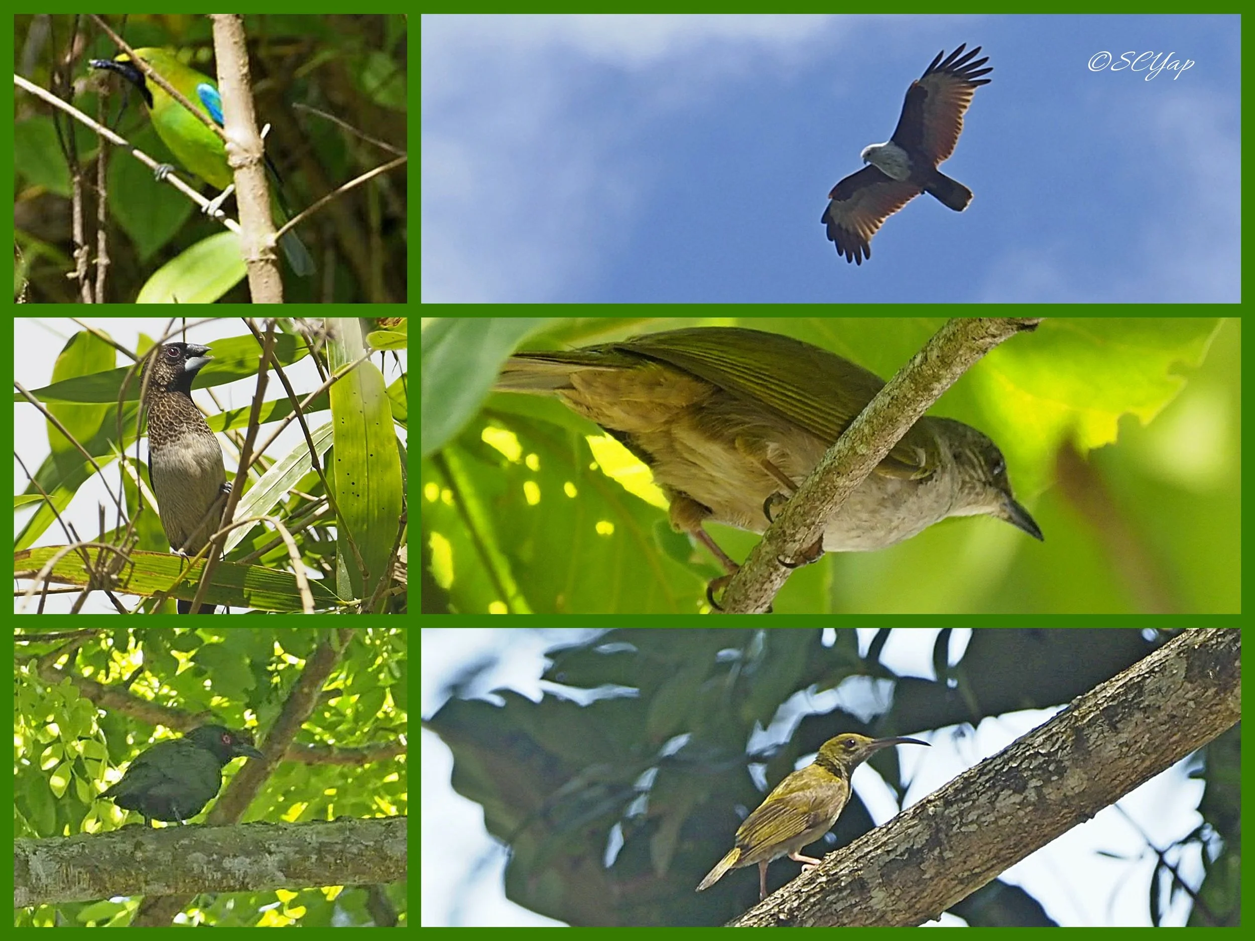 Collage_Fotor7(1).jpg