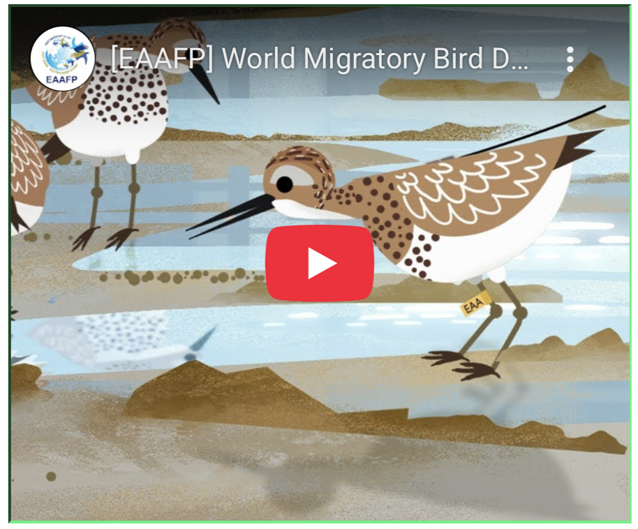 Asian Waterbird Census 2021