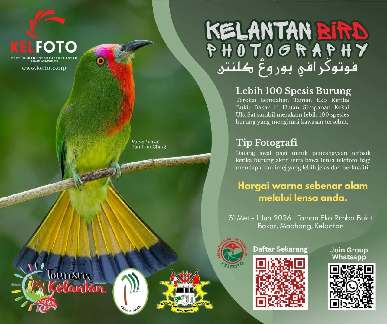 Kelantan Bird Photography