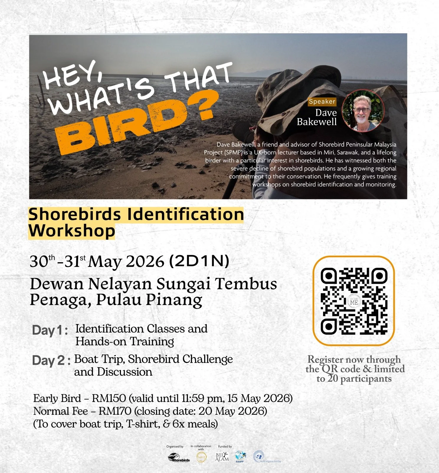 Shorebirds Identification Workshop by Dave Bakewell