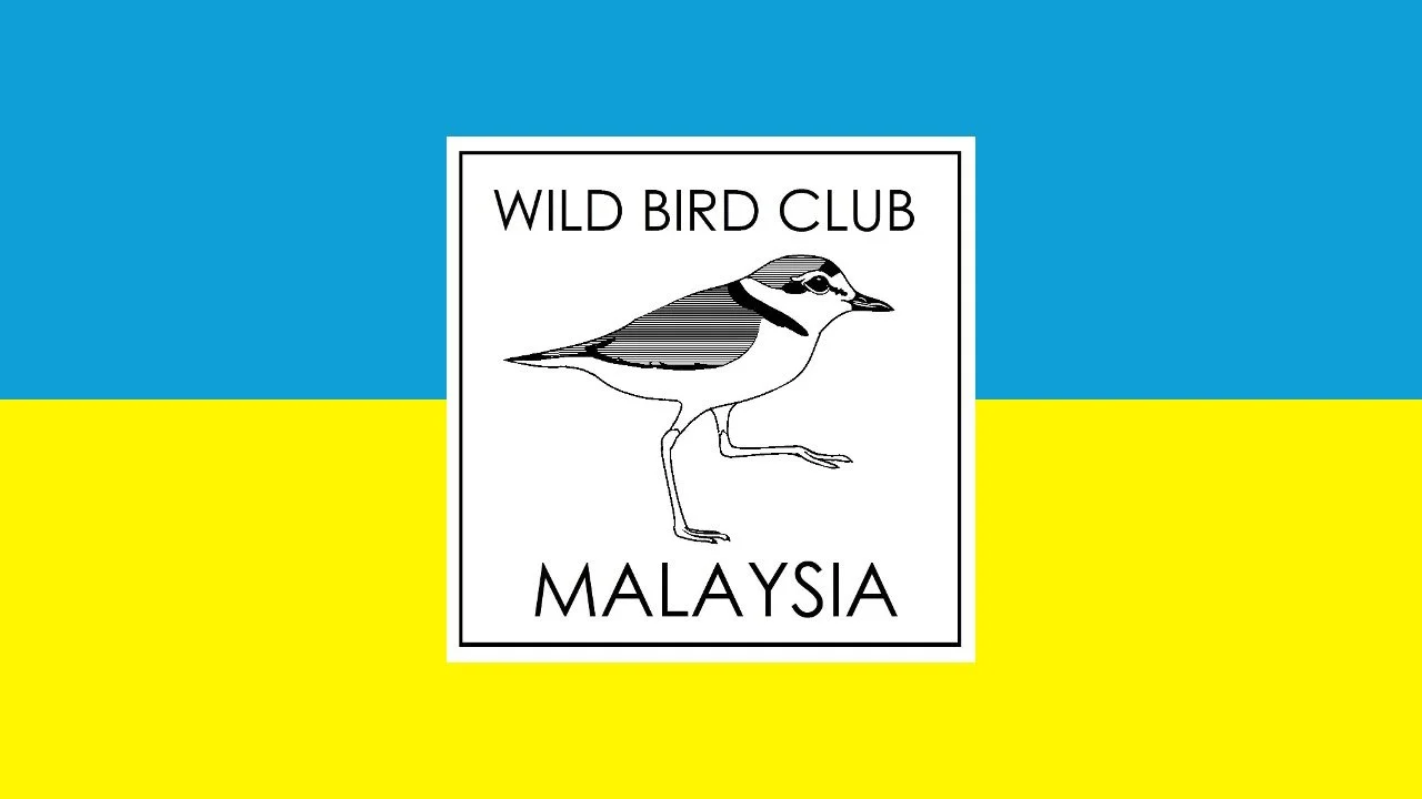 WBCM Shennongjia Birding Tour (FULLY BOOKED)