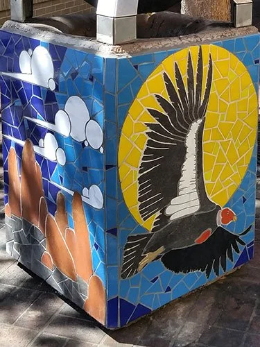 Bird-Sun.jpg