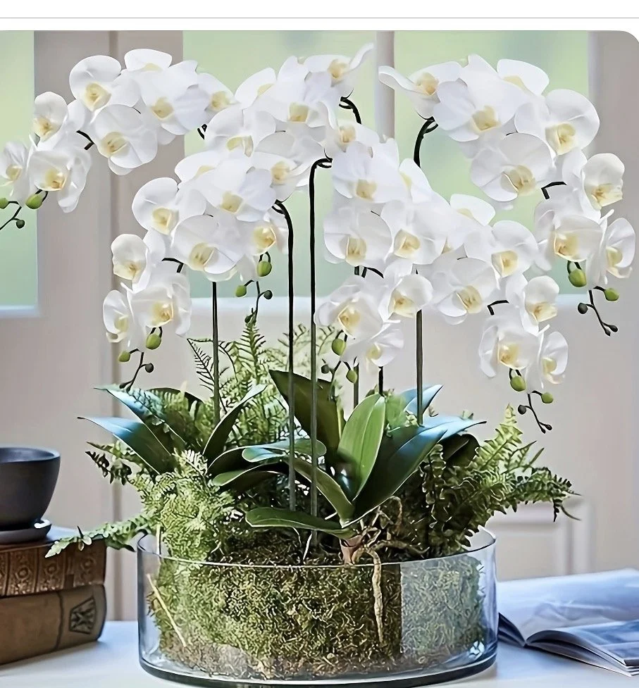 DIY kit Orchid centerpiece