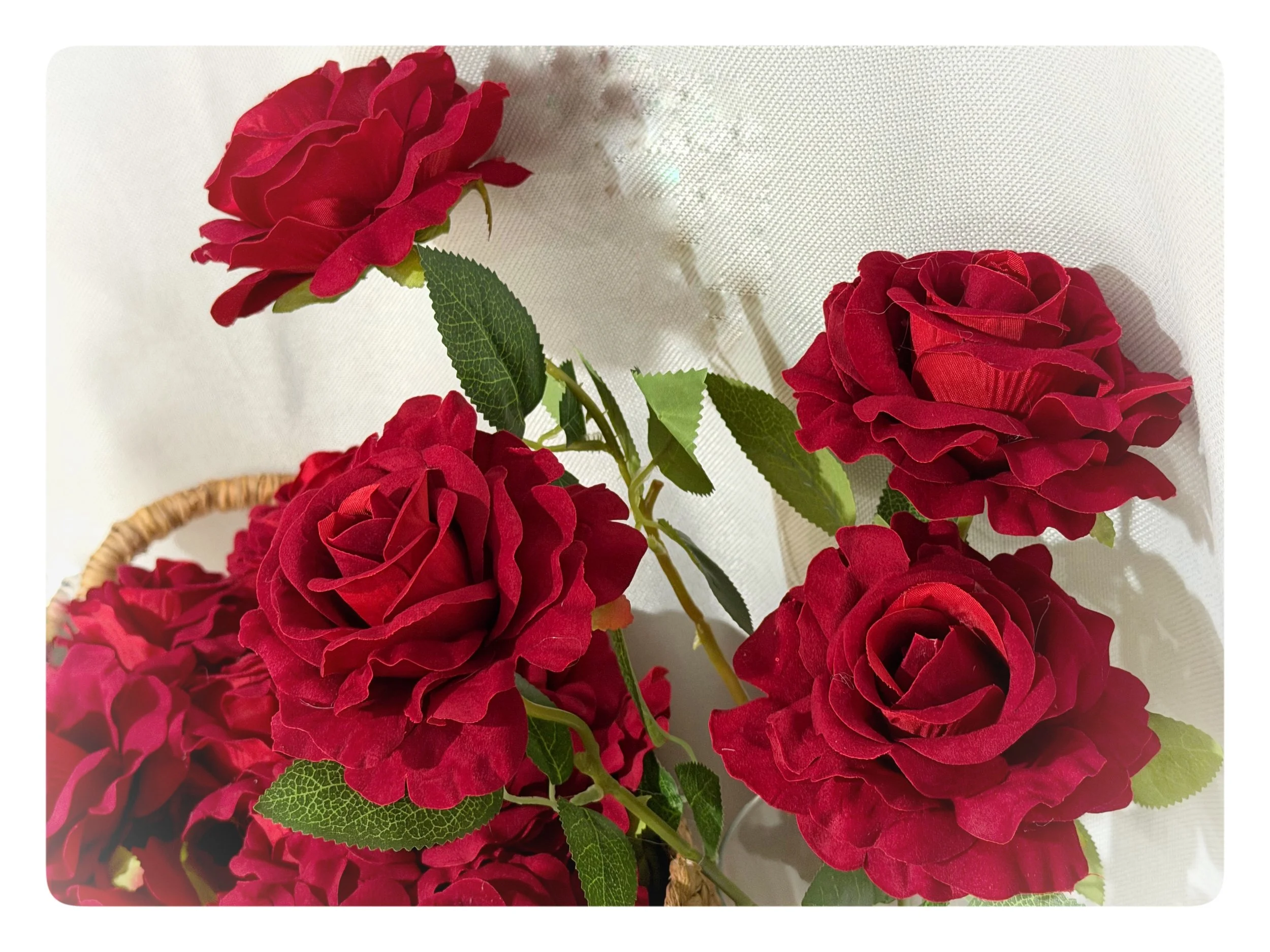 Velvet Roses, 4.5" diameter with detachable stem