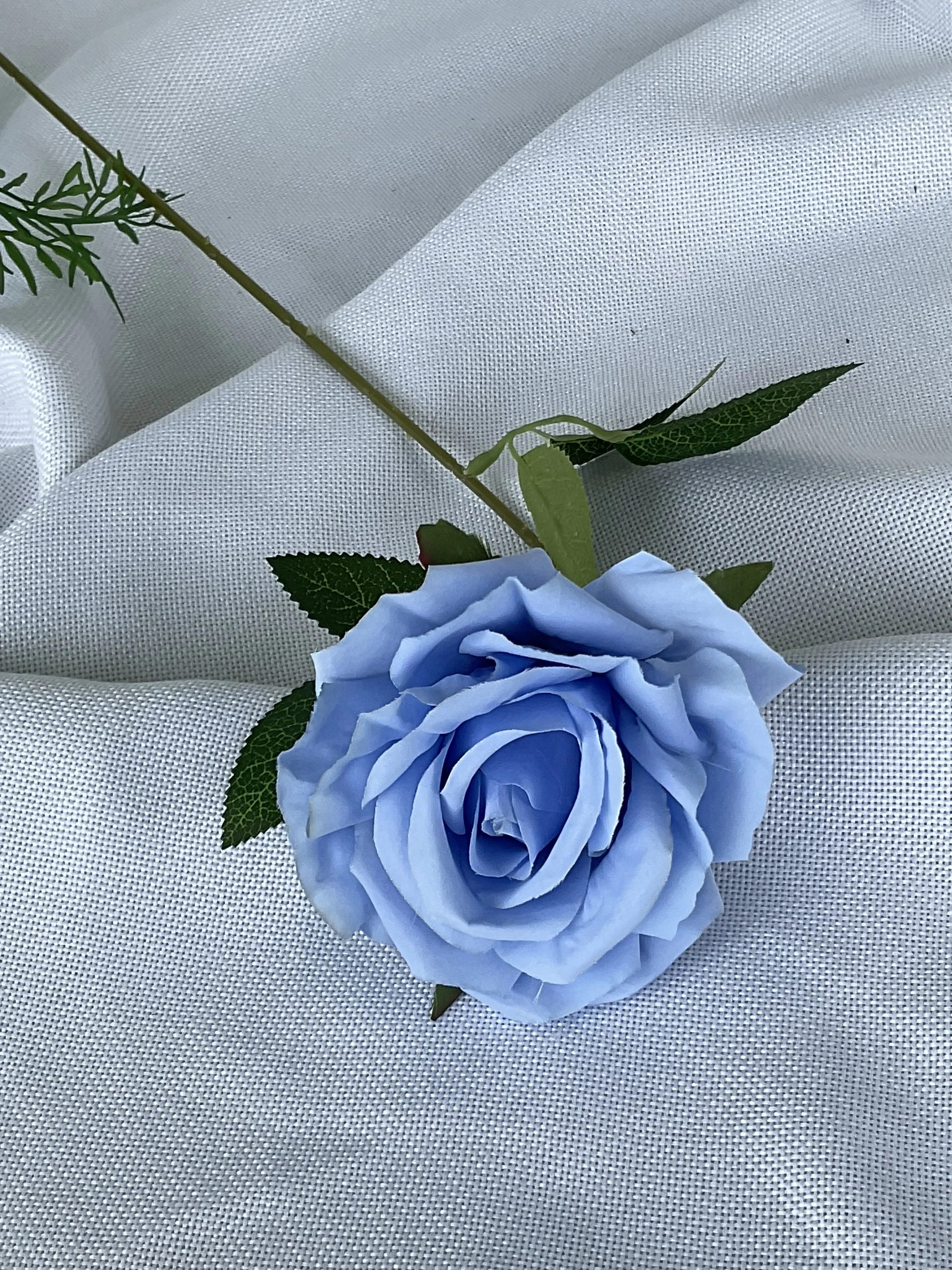 ARRIVING SOON!  blue rose