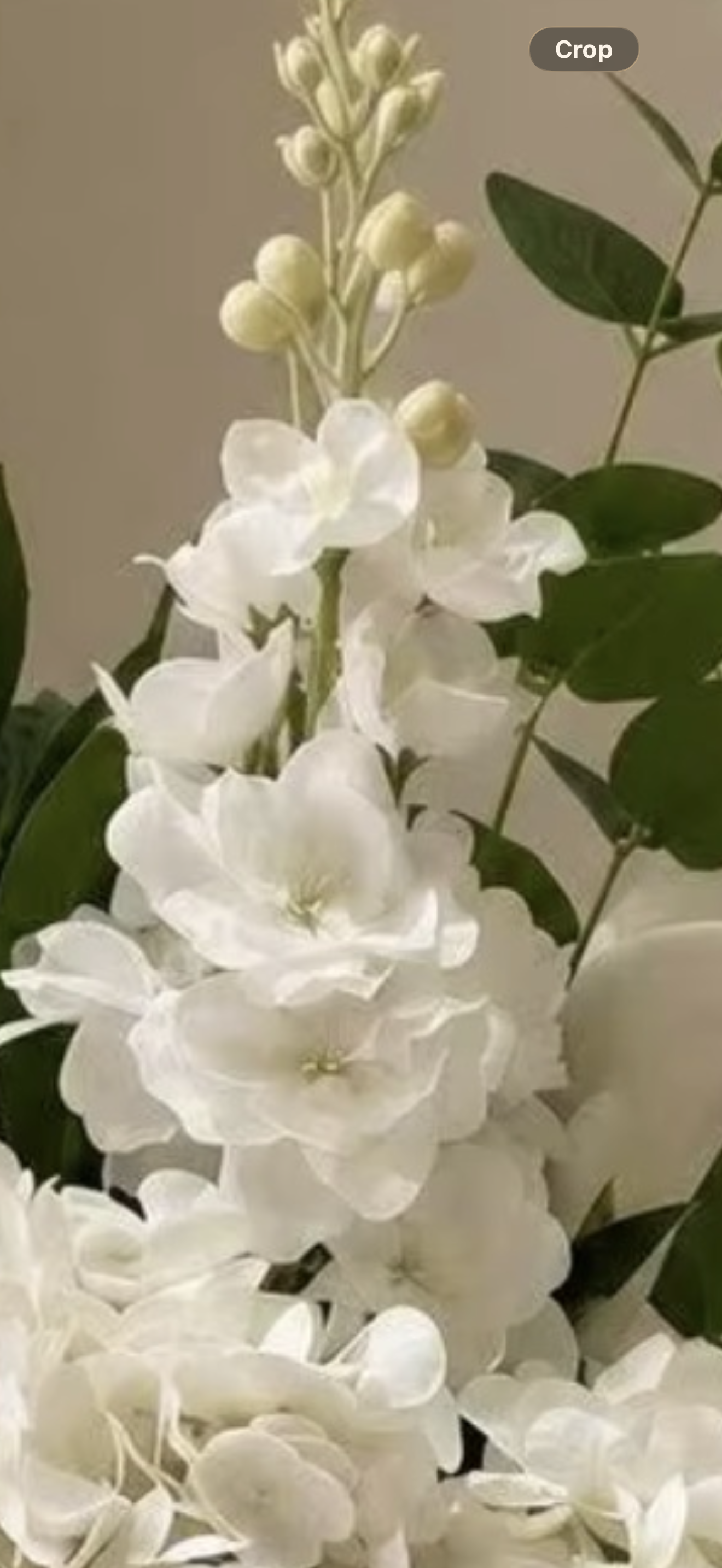 IMG_2740.png