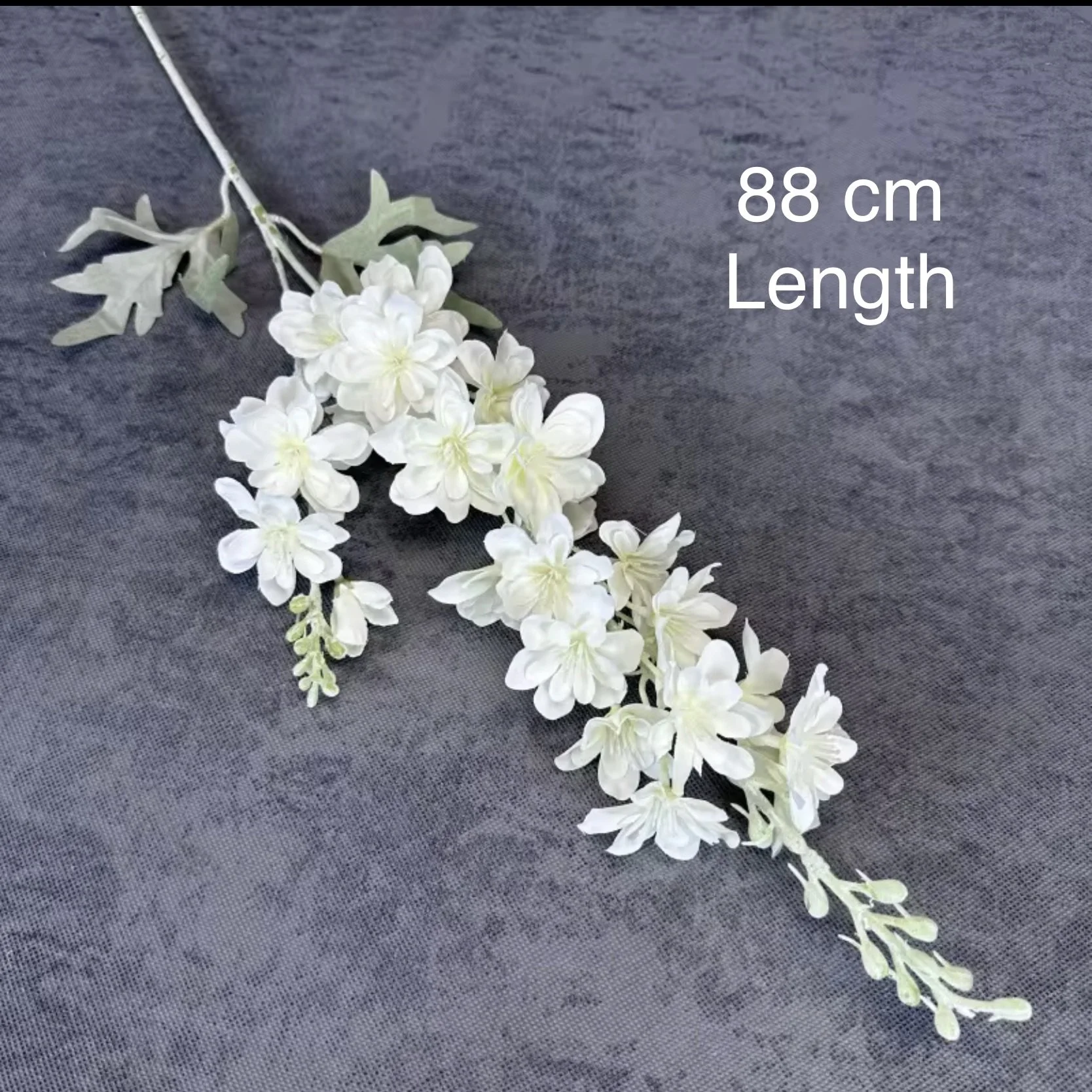 Delphinium 88cm long.