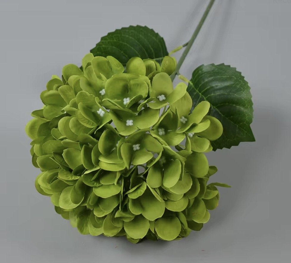 Hydrangea, Green, 90 Silk Petals