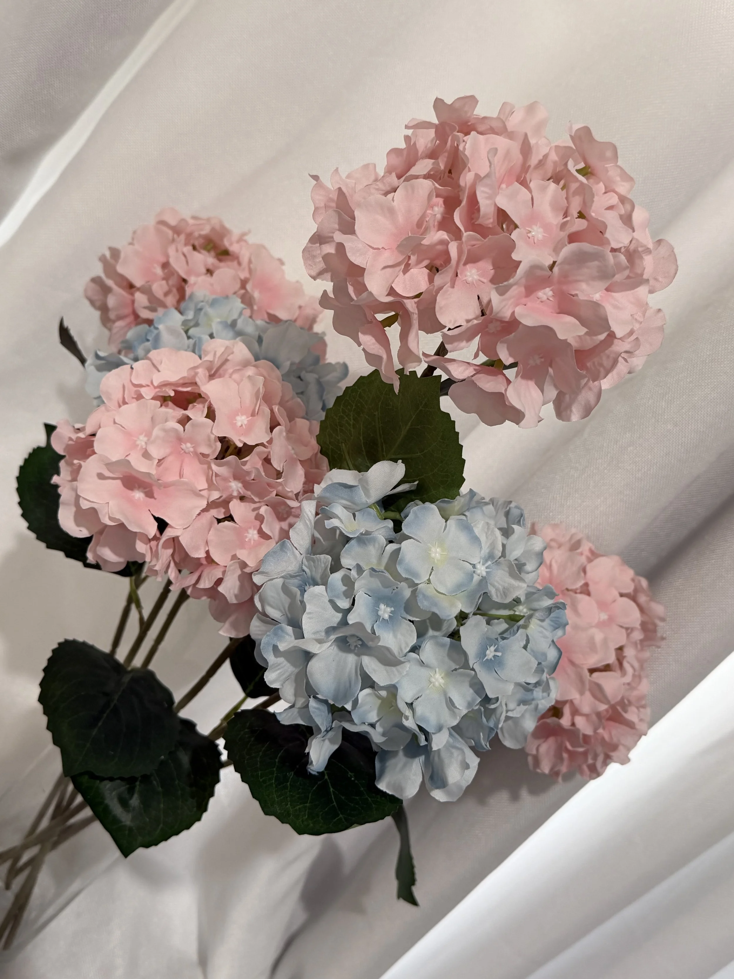 Hydrangea 6" Pink