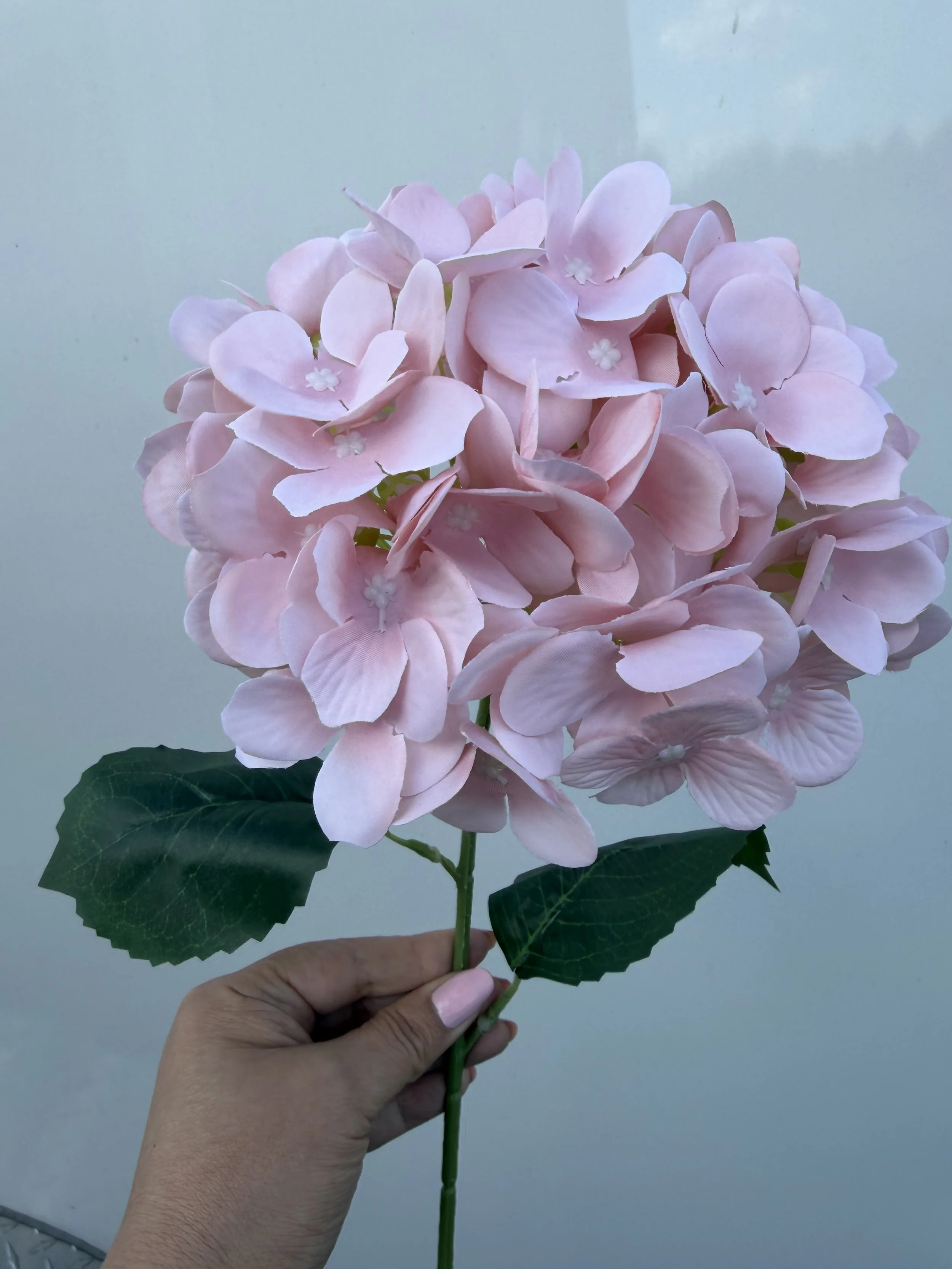 7" Pink hydrangea 90 petals