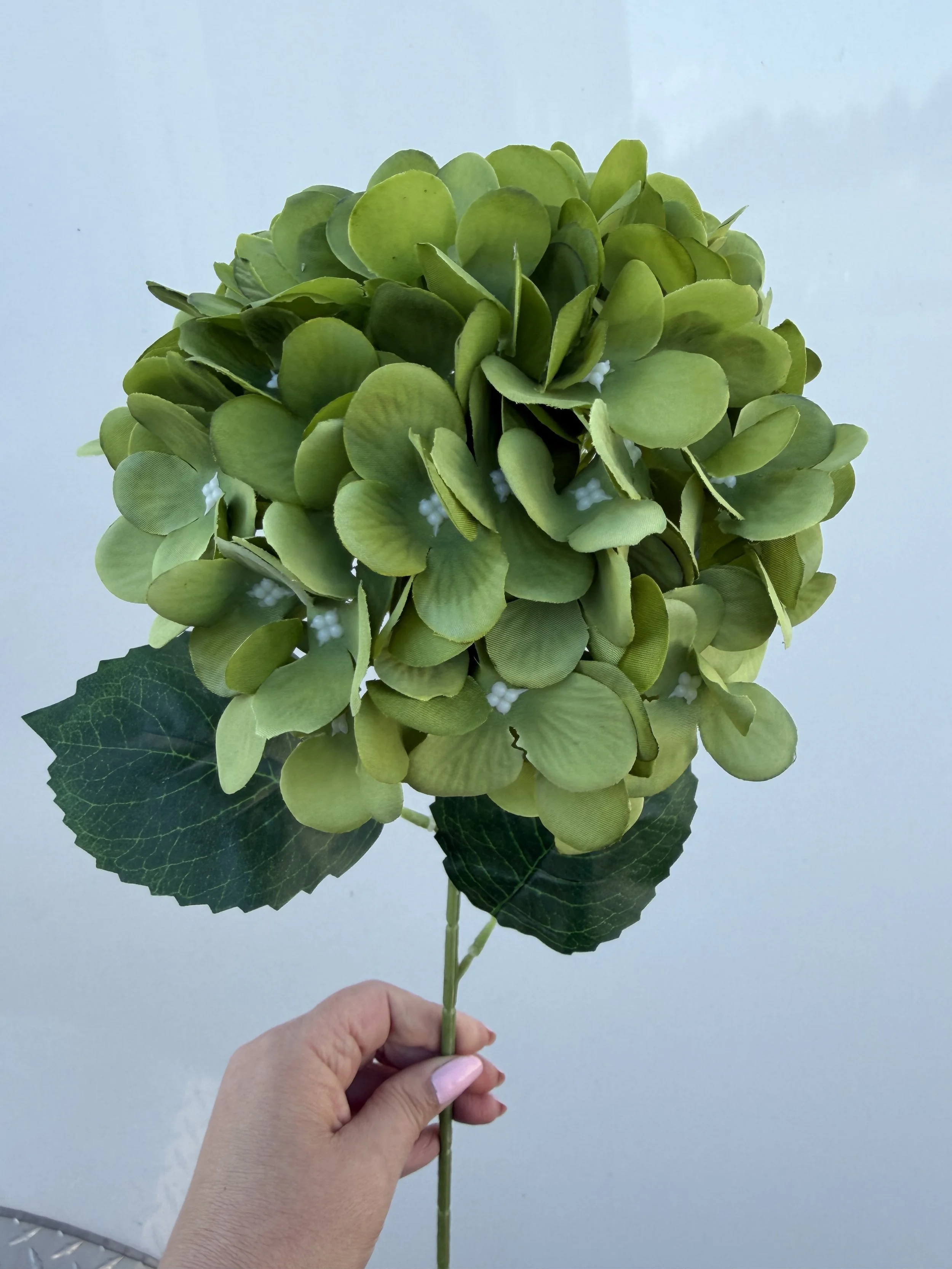 Olive Green Hydrangea 92 petals 7" diameter