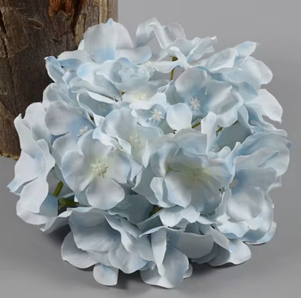 Hydrangea 6" Blue