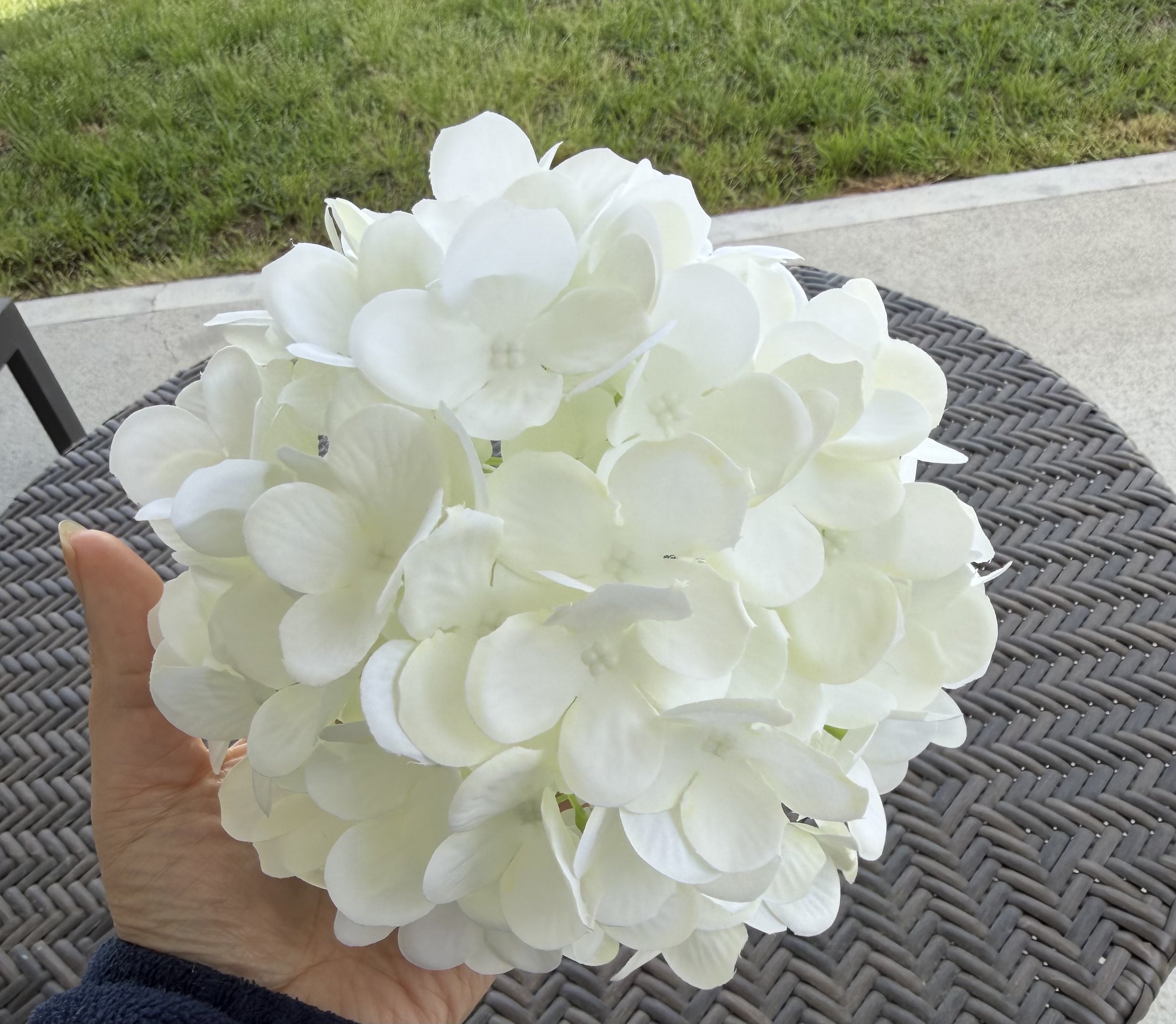 Hydrangeas 7" white