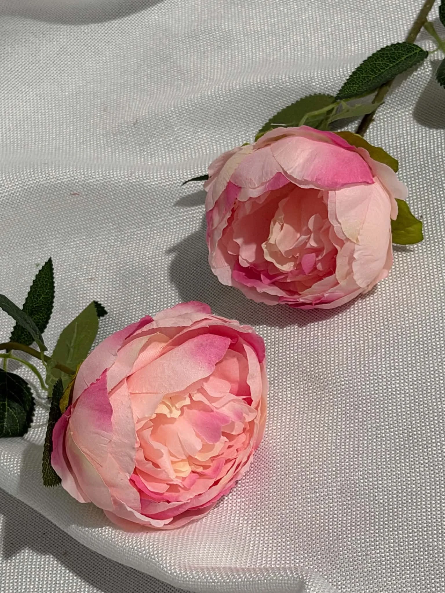Pink Silk Peony
